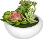 Creativ green Kunst-potplanten Vetplanten-arrangement in een cementpot(2 stuks) - Thumbnail 3