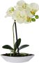 Creativ green Kunstorchidee Vlinderorchidee set van 2 in een plastic bakje (2 stuks) - Thumbnail 2
