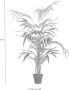 Creativ green Kunstpalm Palm (1 stuk) - Thumbnail 8