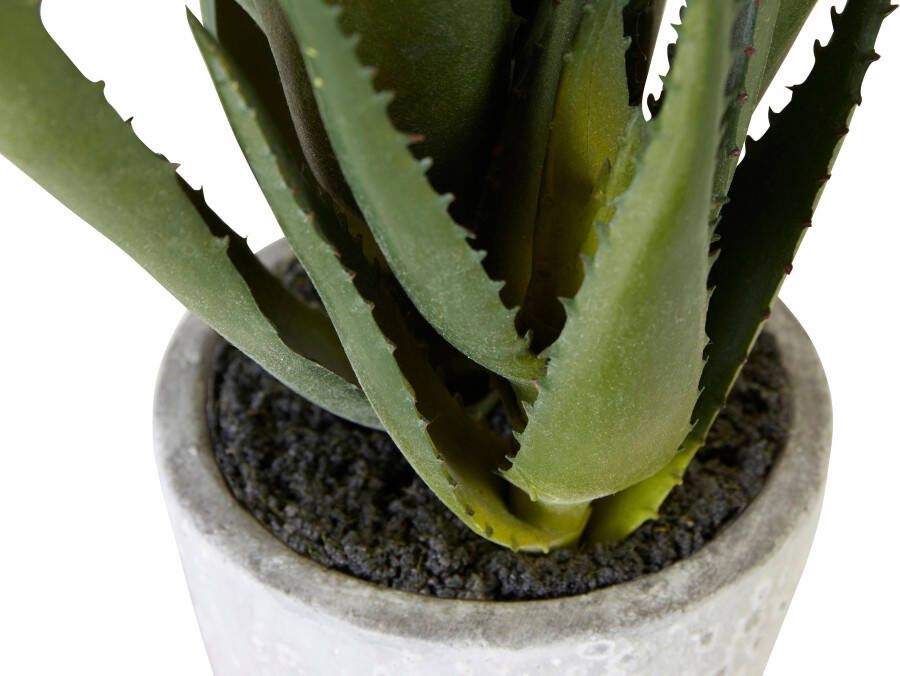 Creativ green Kunstplant Aloe (1 stuk)