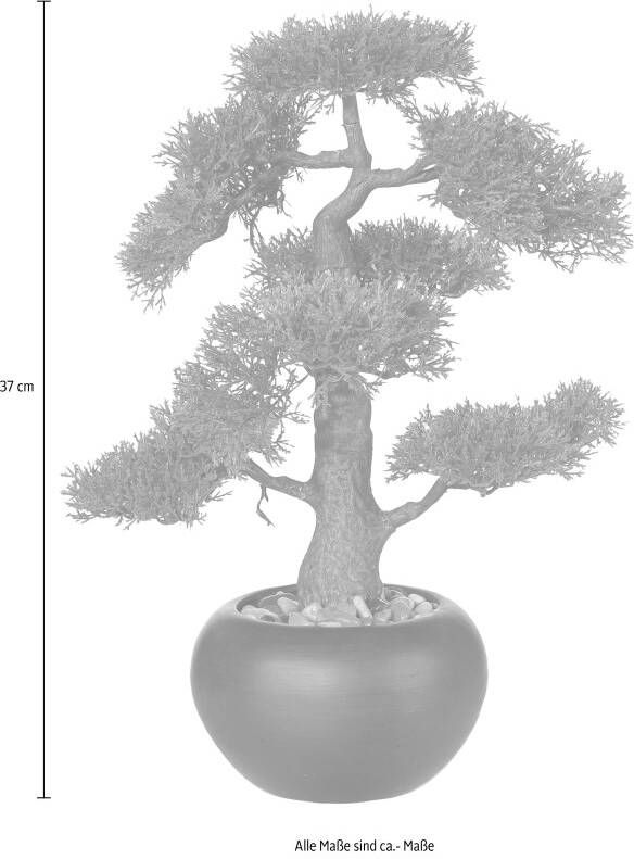 Creativ green Kunstplant Bonsai (1 stuk)