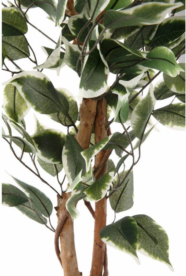 Creativ green Kunstplant Ficus Benjamini (1 stuk)