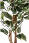 Creativ green Kunstplant Ficus Benjamini (1 stuk) - Thumbnail 3