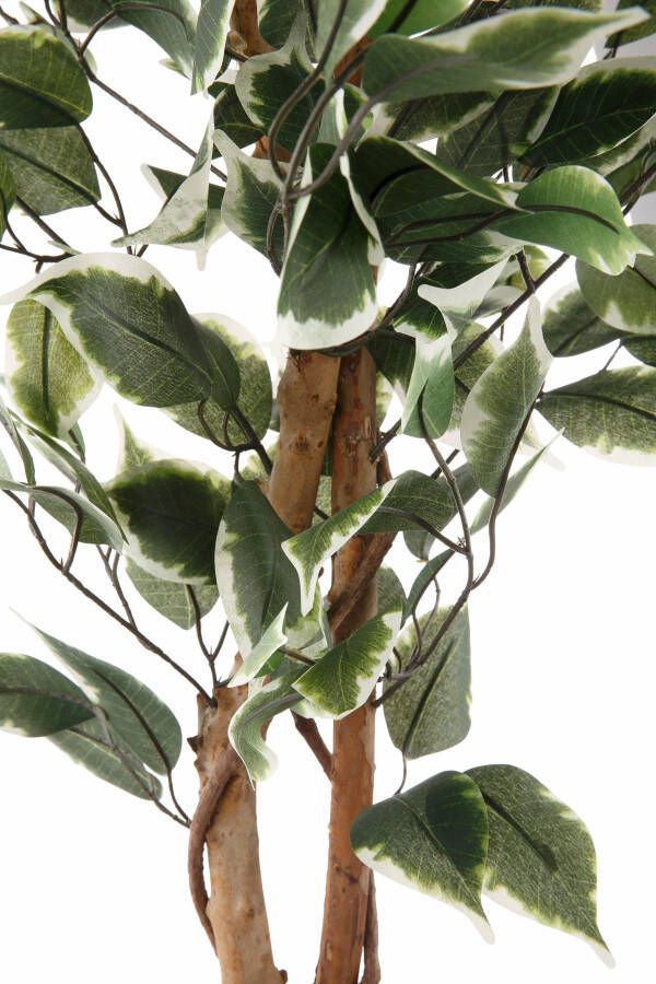 Creativ green Kunstplant Ficus Benjamini (1 stuk)