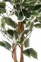 Creativ green Kunstplant Ficus Benjamini (1 stuk) - Thumbnail 3