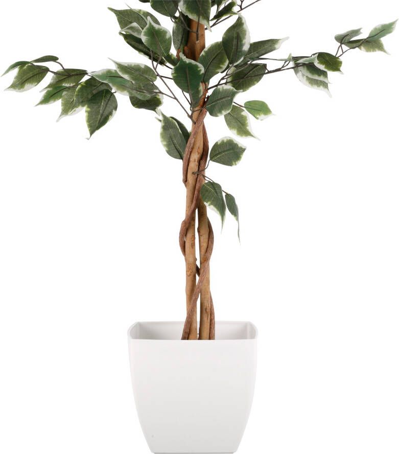 Creativ green Kunstplant Ficus Benjamini (1 stuk)