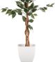 Creativ green Kunstplant Ficus Benjamini (1 stuk) - Thumbnail 4