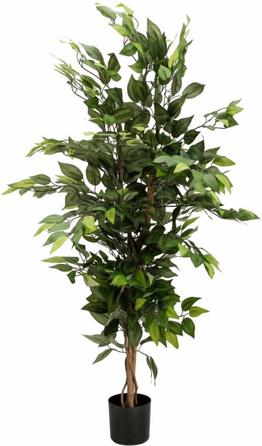 Creativ green Kunstplant Ficus Benjamini (1 stuk)