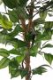 Creativ green Kunstplant Ficus Benjamini (1 stuk) - Thumbnail 4