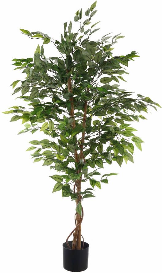 Creativ green Kunstplant Ficus Benjamini (1 stuk)