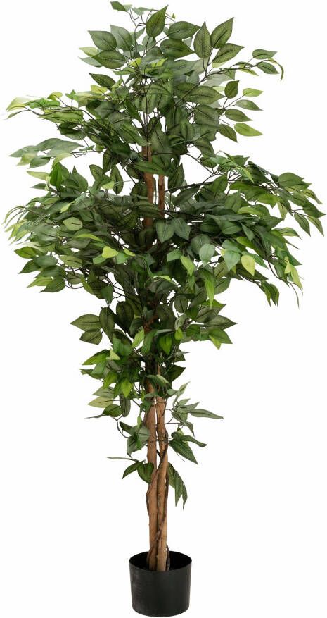 Creativ green Kunstplant Ficus Benjamini (1 stuk)