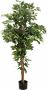 Creativ green Kunstplant Ficus Benjamini (1 stuk) - Thumbnail 3