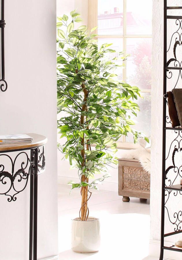 Creativ green Kunstplant Ficus Benjamini (1 stuk)