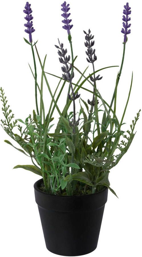 Creativ green Kunstplant Lavendel set van 3 in een plastic pot (3 stuks)