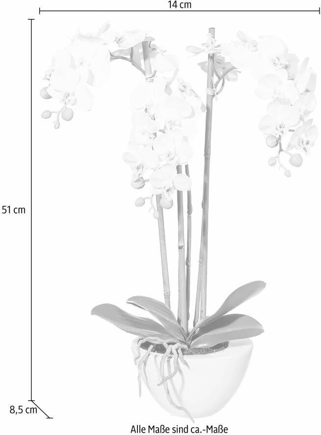 Creativ green Kunstplant Mini orchidee (1 stuk)