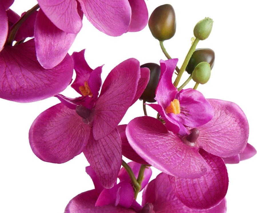 Creativ green Kunstplant Orchidee (1 stuk)
