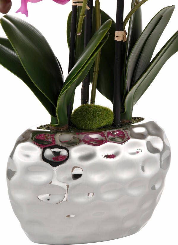 Creativ green Kunstplant Orchidee (1 stuk)