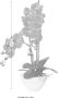 Creativ green Kunstplant Orchidee (1 stuk) - Thumbnail 2