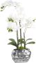 Creativ green Kunstplant Orchidee (1 stuk) - Thumbnail 2