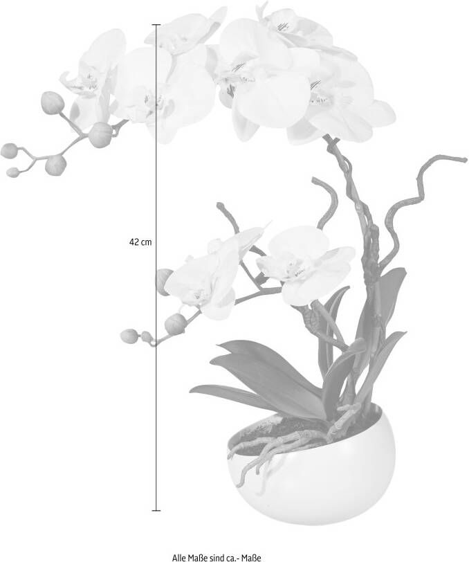 Creativ green Kunstplant Orchidee (1 stuk)