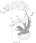 Creativ green Kunstplant Orchidee (1 stuk) - Thumbnail 5