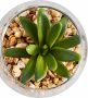 Creativ green Kunstplant Vetplanten (set 3 stuks) - Thumbnail 5
