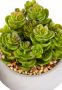 Creativ green Kunstplant Vetplanten (set 3 stuks) - Thumbnail 4