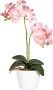 Creativ green Kunstplant Vlinderorchidee (set 2 stuks) - Thumbnail 2