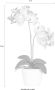 Creativ green Kunstplant Vlinderorchidee (set 2 stuks) - Thumbnail 3