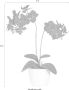 Creativ green Kunstplant Vlinderorchidee (set 2 stuks) - Thumbnail 3
