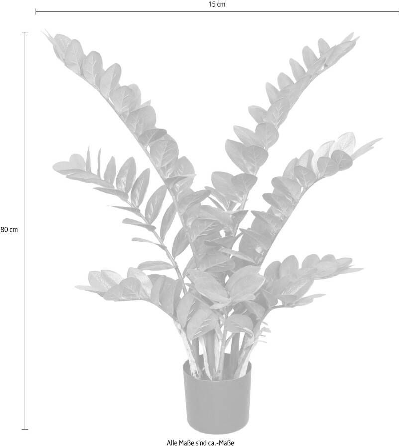 Creativ green Kunstplant Zamifolia (1 stuk)