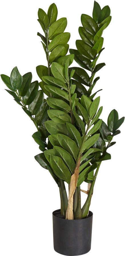 Creativ green Kunstplant Zamifolia (1 stuk)