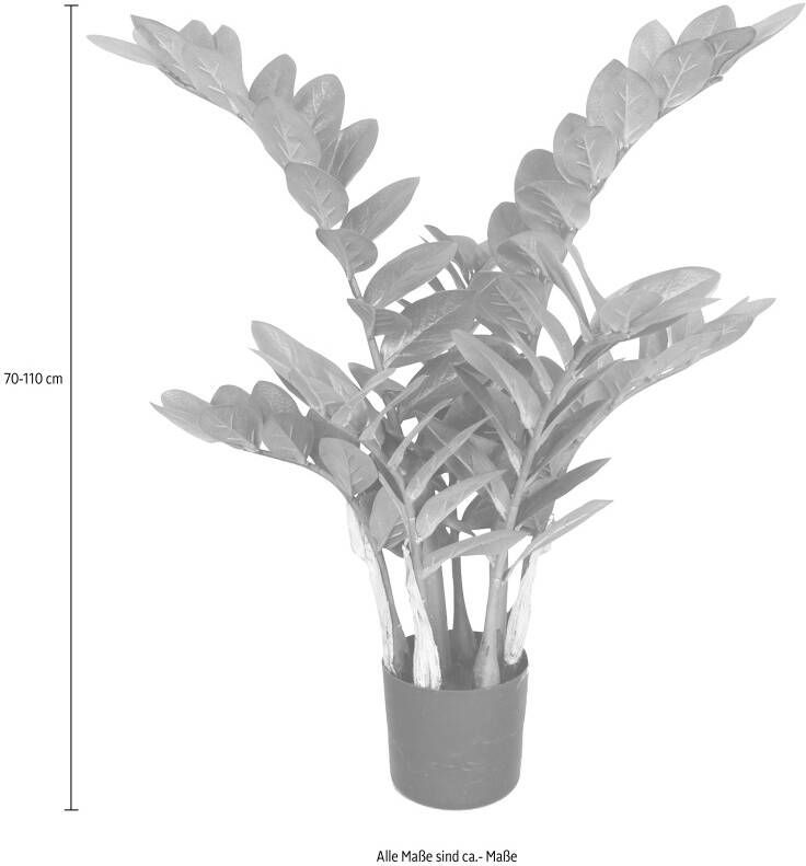 Creativ green Kunstplant Zamifolia (1 stuk)