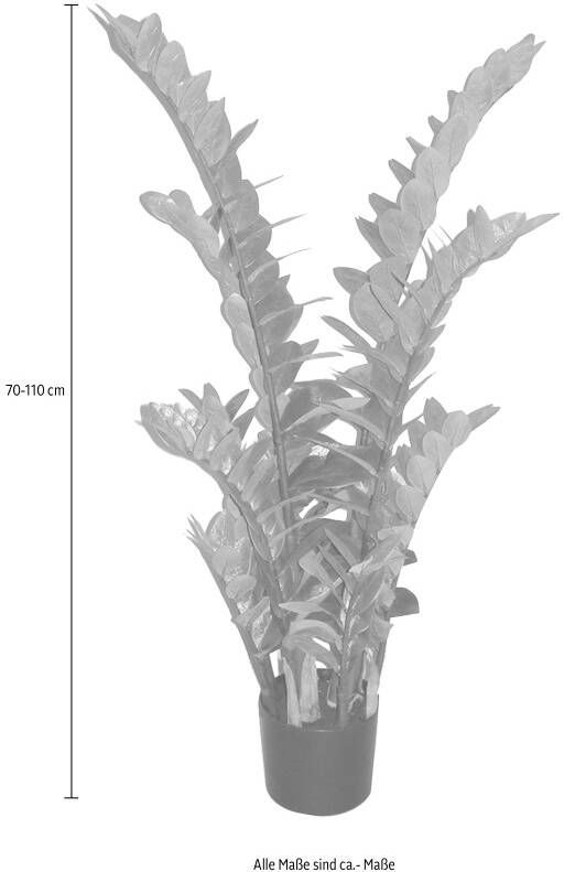 Creativ green Kunstplant Zamifolia (1 stuk)