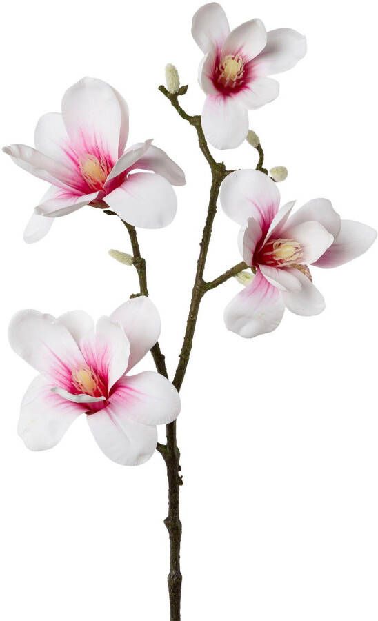 Creativ green Kunsttak Tak magnolia (2 stuks)