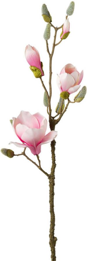 Creativ green Kunsttak Tak magnolia (3 stuks)