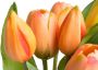 Botanic-Haus Kunstbloem Willa Bos tulpen in 7-delige set (set 7 stuks) - Thumbnail 3