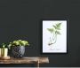 Erismann Vliesbehang Colour Passion (1 stuk) - Thumbnail 5
