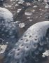 Erismann Vliesbehang PAVO (1 stuk) - Thumbnail 3