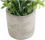 My home Kunstplant Effetamo in een pot(2 stuks) - Thumbnail 3