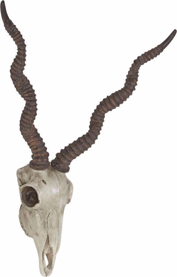 HOFMANN LIVING AND MORE Decoratief gewei Antilopenkop