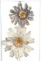 HOFMANN LIVING AND MORE Sierobject voor aan de wand Wanddecoratie (1 stuk) - Thumbnail 2