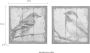 HOFMANN LIVING AND MORE Wanddecoratie Vogel Dierenmotief (set 2 stuks) (set) - Thumbnail 10