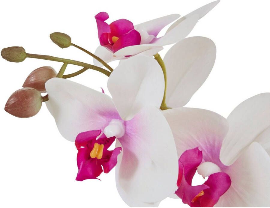 Home affaire Kunstplant Orchidee Kunstorchidee in een pot (1 stuk)