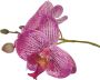 Home affaire Kunstplant Orchidee Kunstorchidee in een pot (1 stuk) - Thumbnail 2