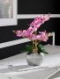 Home affaire Kunstplant Orchidee Kunstorchidee in een pot (1 stuk) - Thumbnail 5