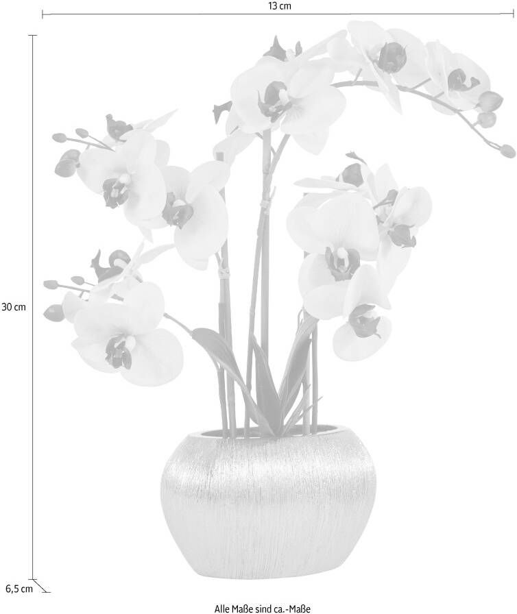 Home affaire Kunstplant Orchidee Kunstorchidee in een pot (1 stuk)