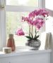 Home affaire Kunstplant Orchidee Kunstorchidee in een pot (1 stuk) - Thumbnail 4