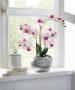 Home affaire Kunstplant Orchidee Kunstorchidee in een pot (1 stuk) - Thumbnail 4