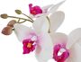 Home affaire Kunstplant Orchidee Kunstorchidee in een pot (1 stuk) - Thumbnail 2